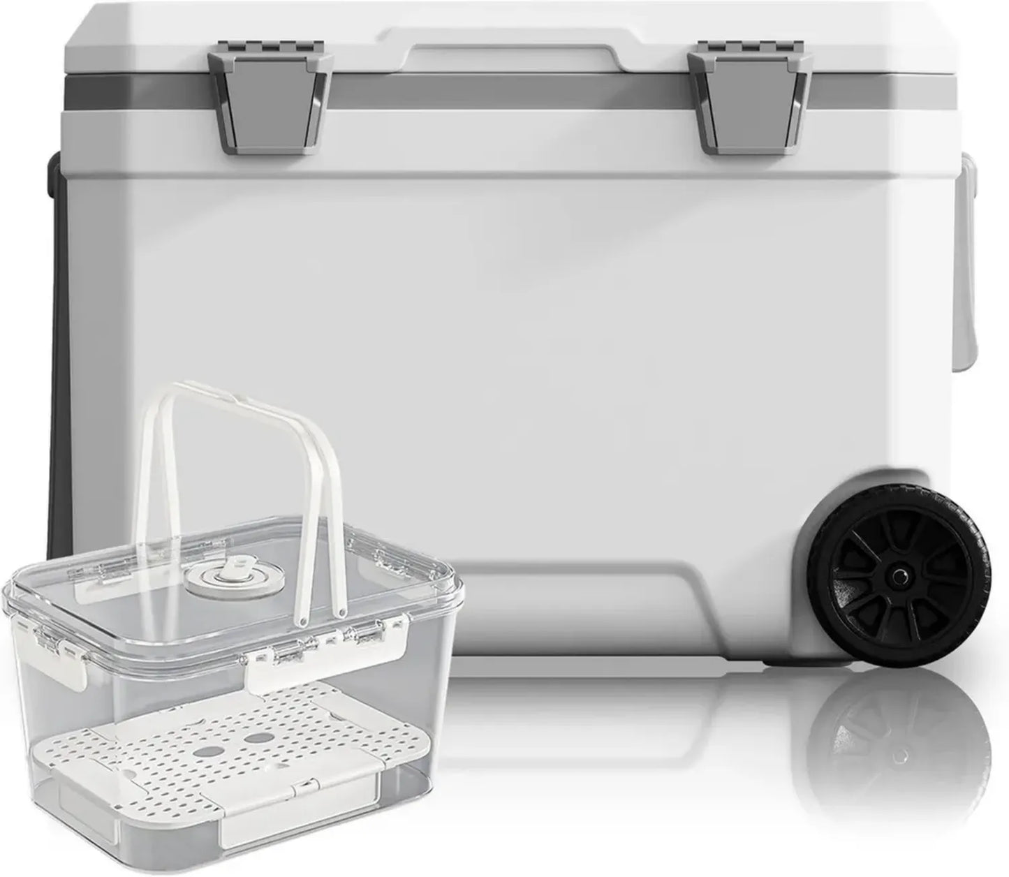 Glacière Isotherme à Roulettes 45L – Mobile et Robuste avec Loquets Métalliques