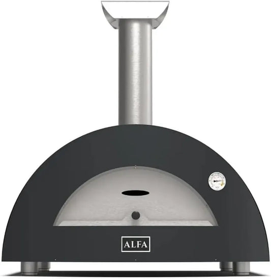 Four à gaz en métal moderne pour 2 pizzas